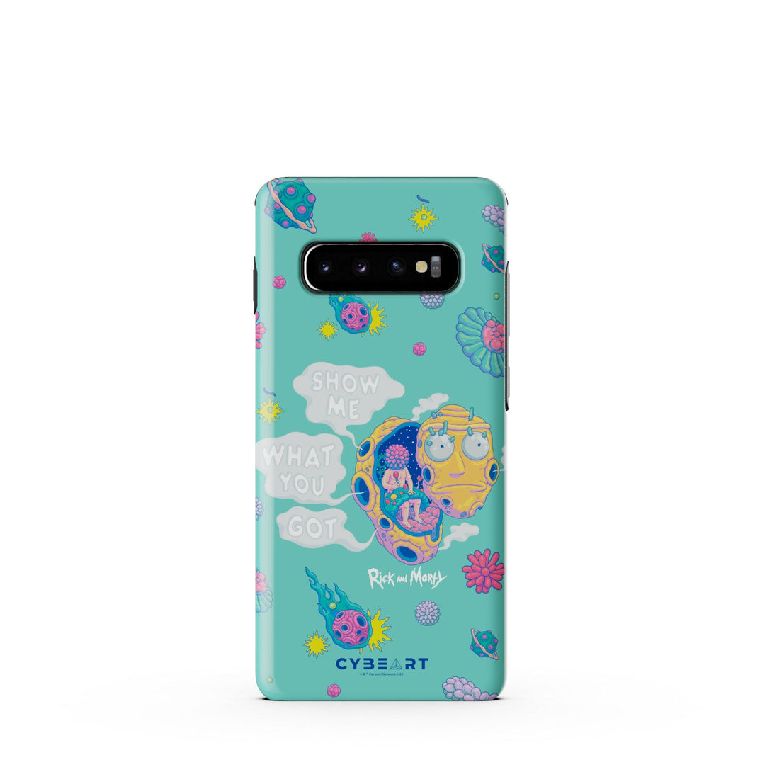 PCIMP-S10+-RAM013